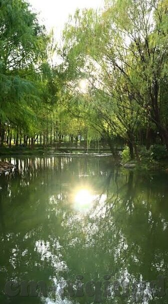 果冻传媒张芸熙视频网-探索网络内容与公众认知的边界，果冻传媒张芸熙视频网现象剖析