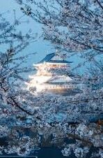 麻豆蜜桃传媒-麻豆蜜桃传媒——影视艺术的新风景